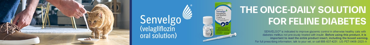 senvelgo ad